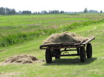 SX15195 Farmers trailer with hay.jpg